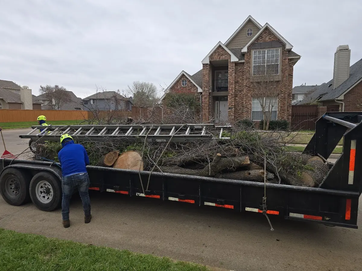 Expert Tree Fertilization with proper safety equipment in Hickory